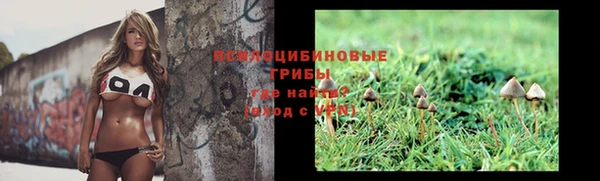 apvp Горнозаводск