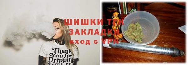 не бодяженный Горно-Алтайск