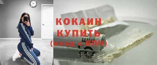 не бодяженный Горно-Алтайск