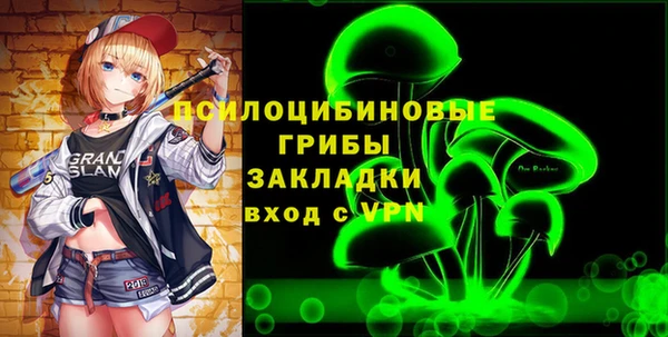 apvp Горнозаводск