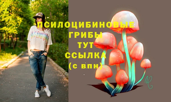 не бодяженный Горно-Алтайск