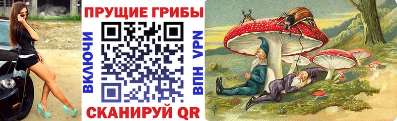 Галлюциногенные грибы GOLDEN TEACHER  Избербаш 