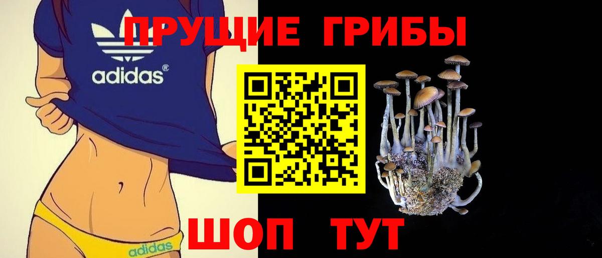 Псилоцибиновые грибы MAGIC MUSHROOMS Избербаш
