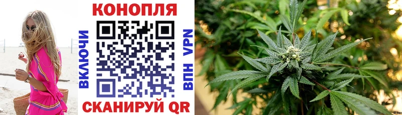 Бошки Шишки семена  Избербаш 